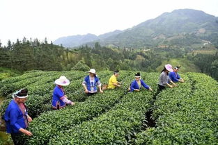 三江扶貧隊(duì)員 侗歌傳唱新生活，農(nóng)副產(chǎn)品暢銷路